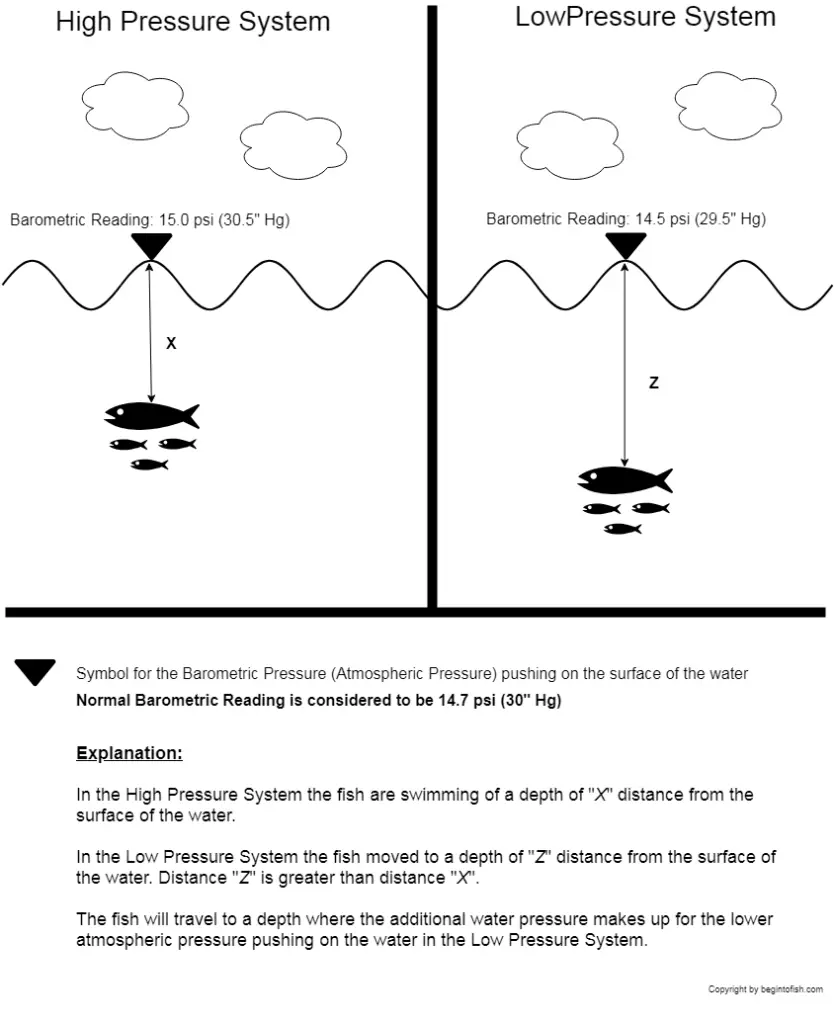 How Barometric Pressure Affects Fish