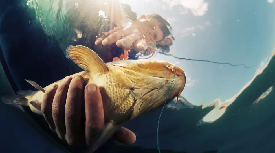 Holding Fish Underwater