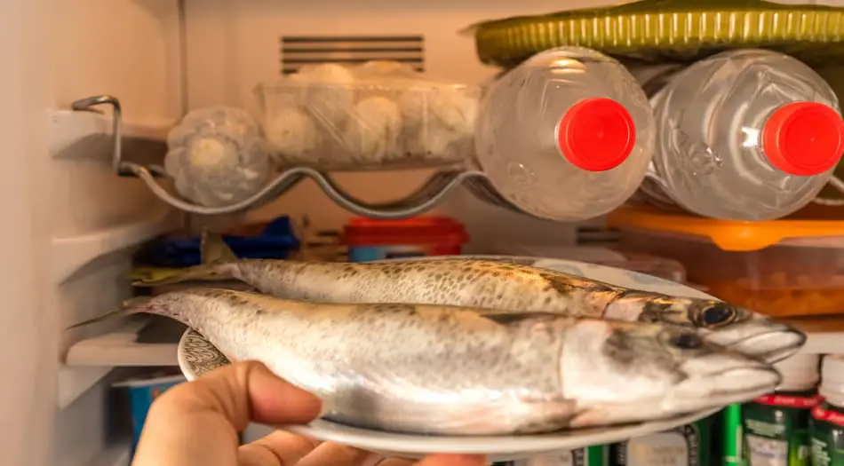 How Long Can You Keep An Ungutted Fish In The Fridge? Begin To Fish