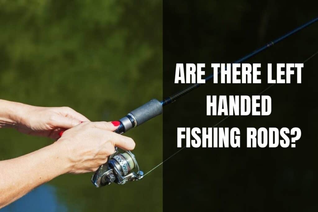 Are There Left Handed Fishing Rods? - Begin To Fish