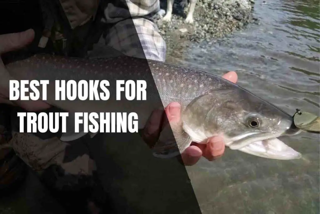 what-are-the-best-hooks-for-trout-fishing-begin-to-fish