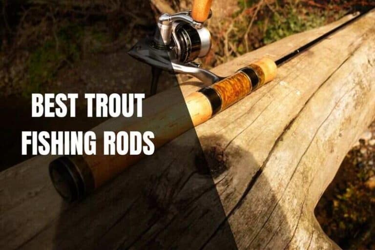 15 Best Trout Fishing Rods In 2024 Begin To Fish