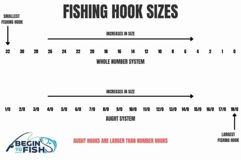 A Complete Guide On Fishing Hook Sizes - Begin To Fish