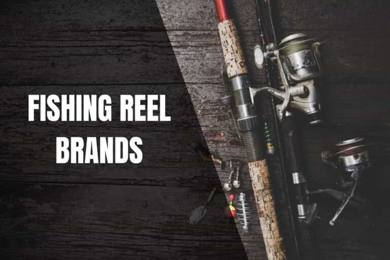 the-best-fishing-reel-brands-in-the-market-begin-to-fish