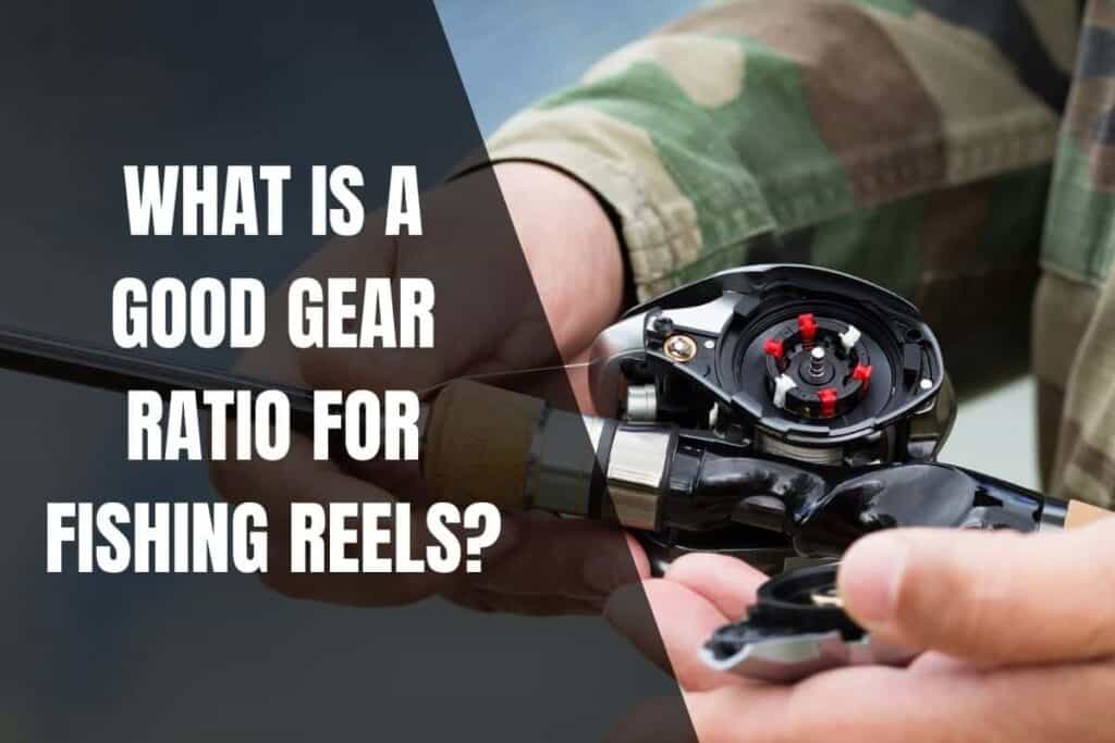 what-is-a-good-gear-ratio-for-fishing-reels-begin-to-fish