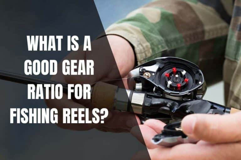 What Is A Good Gear Ratio For Bass Fishing