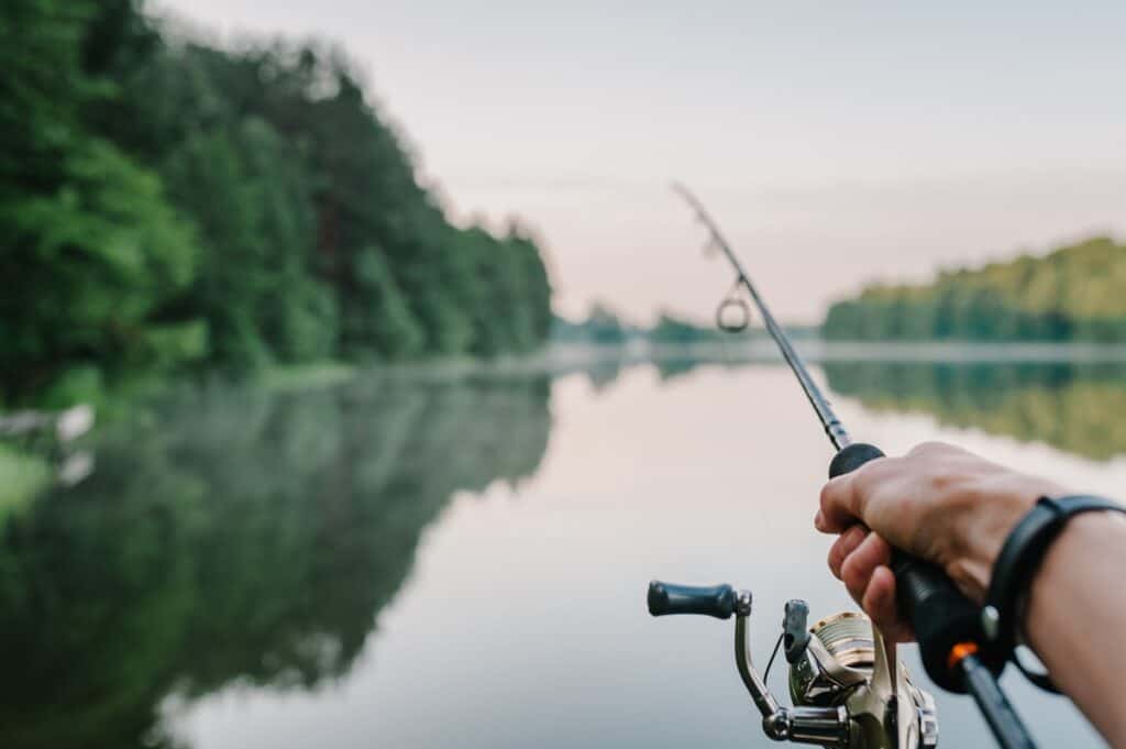 What Can You Catch Using A 4 lb Fishing Line Begin To Fish