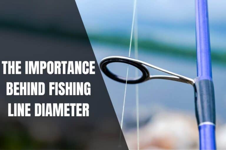 fishing-line-diameter-how-it-affects-your-fishing-success-begin-to-fish