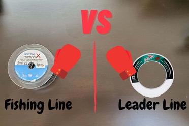 Fishing Line Vs Leader Line: What Is The Difference? - Begin To Fish