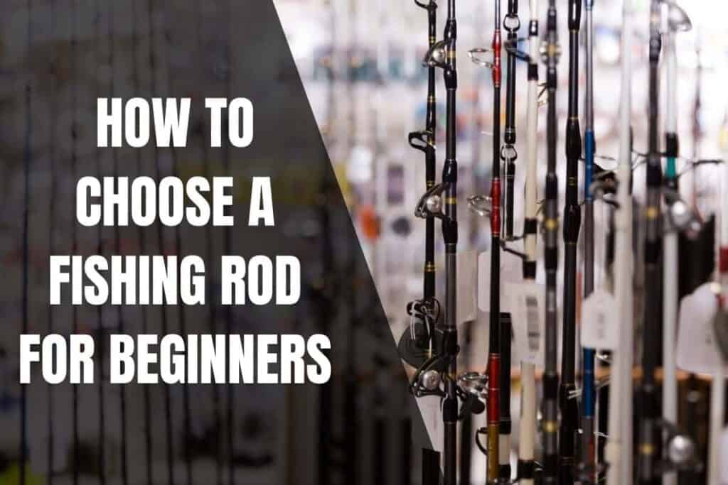 How To Choose A Fishing Rod For Beginners - Begin To Fish