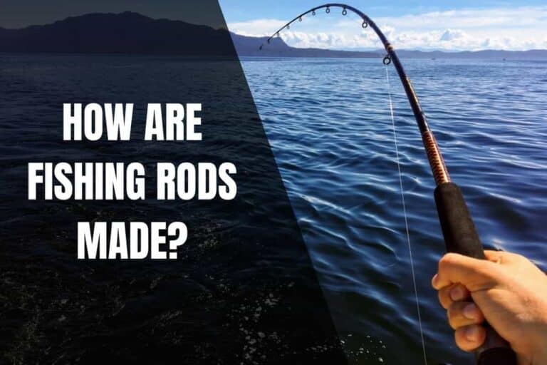 How Are Fishing Rods Made? - Begin To Fish