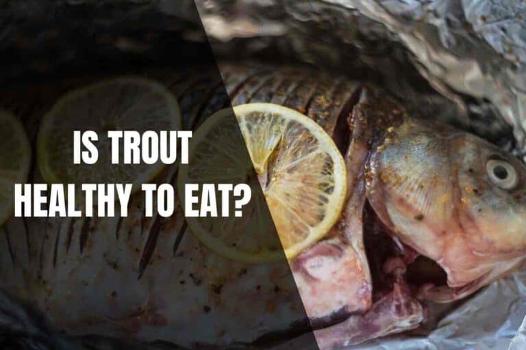 is-trout-healthy-to-eat-begin-to-fish