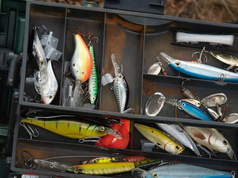 Will Your Fishing Tackle Rust? (And Tips On How To Clean Them) - Begin ...