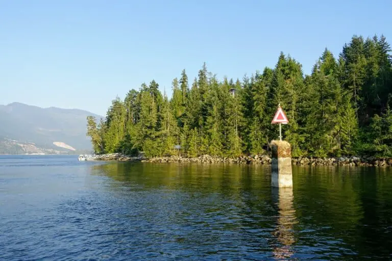 fishing-during-a-high-or-low-tide-which-one-is-better-begin-to-fish