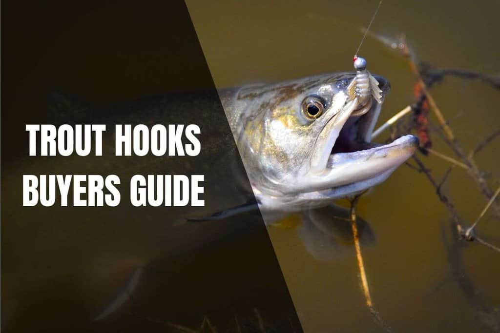 Trout Hooks Buyers Guide Size And Type Begin To Fish