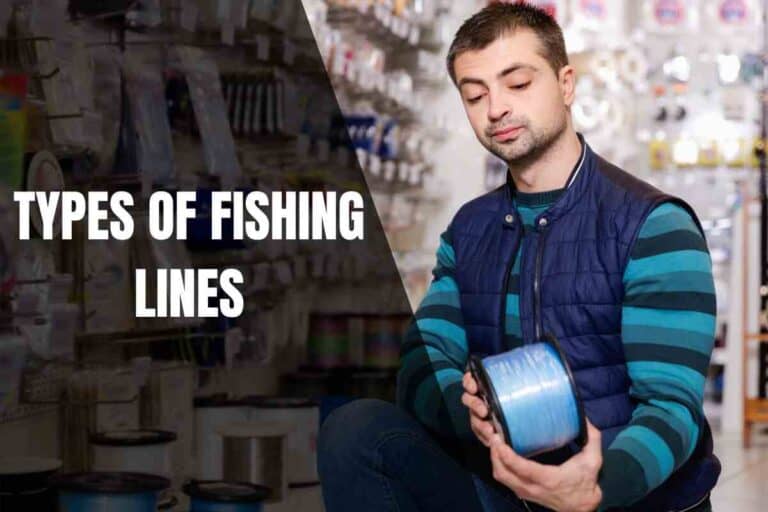 Discover The Different Types Of Fishing Lines For Your Next Catch