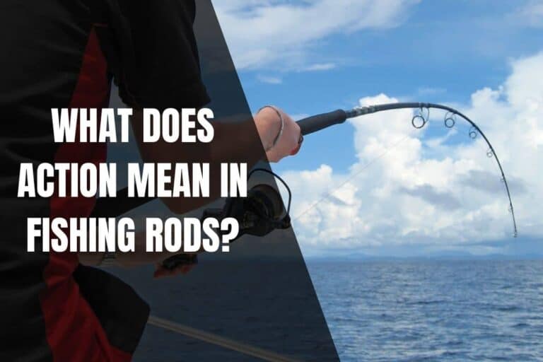 what-does-action-mean-in-fishing-rods-begin-to-fish