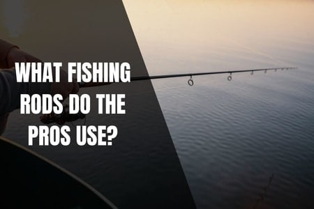 What Fishing Rods Do The Pros Use? - Begin To Fish