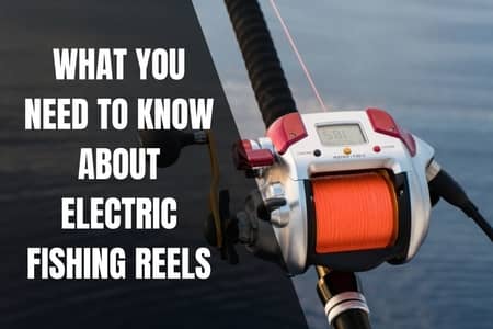 What You Need To Know About Electric Fishing Reels - Begin To Fish