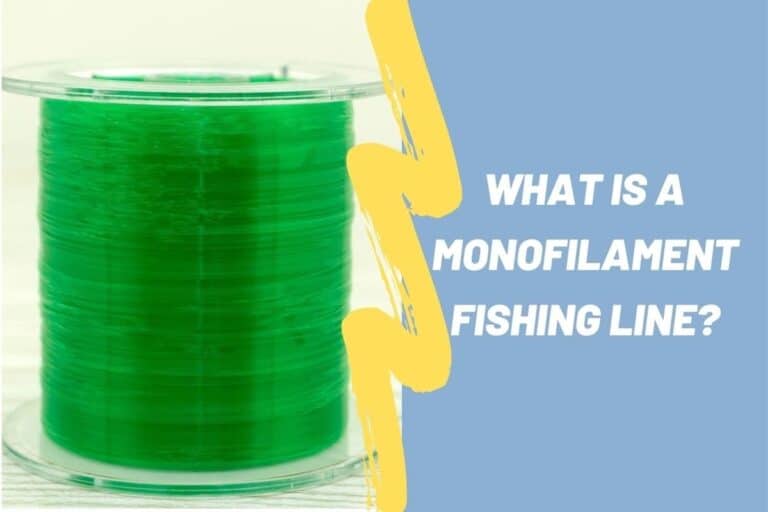 What Is A Monofilament Fishing Line? And Why You Should Use It? Begin