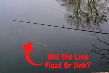 Will A Fishing Line Sink Or Float An Engineer Explains Begin To Fish